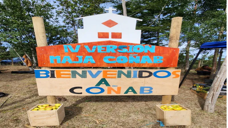 Imagen noticias Wapi Chilwe