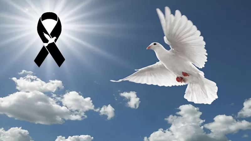 Imagen noticias Wapi Chilwe